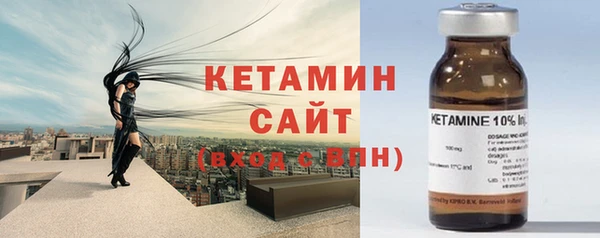 СК Пересвет
