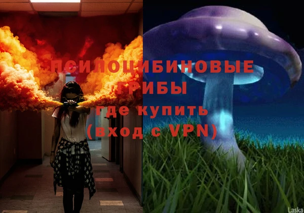 хмурый Липки