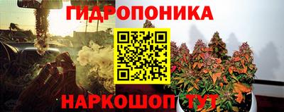 винт Гай