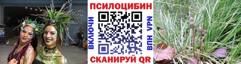 Галлюциногенные грибы Cubensis Лиски