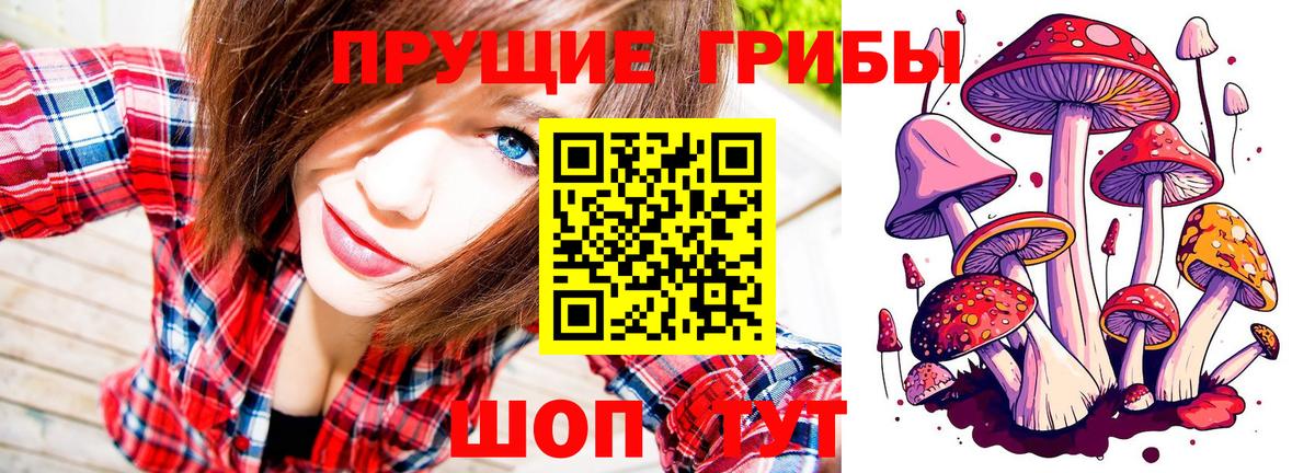 Лиски  Псилоцибиновые грибы GOLDEN TEACHER  Галлюциногенные грибы Cubensis  Вход с VPN 